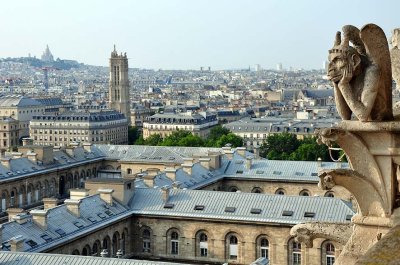 View from Notre-Dame de Paris - 5908