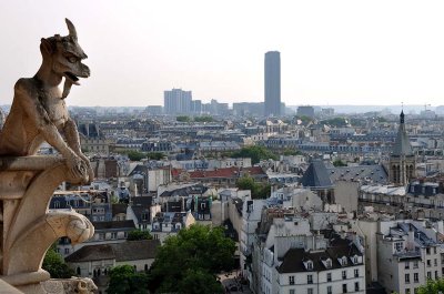 View from Notre-Dame de Paris - 5918