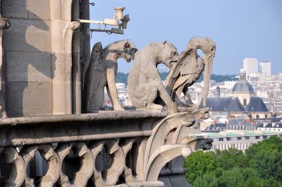 Notre-Dame de Paris - 5925