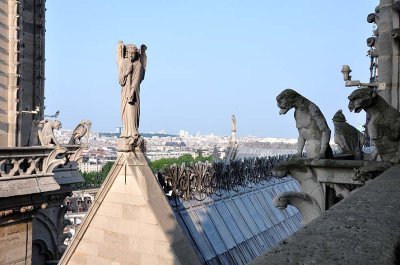 Notre-Dame de Paris - 5927