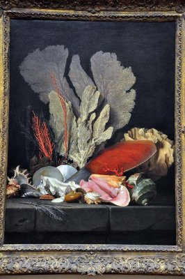 Anne Vallayer-Coster - Panaches de mer, lithophytes et coquilles (1769) - 0463