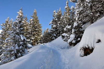 Mont Bochor - 1077