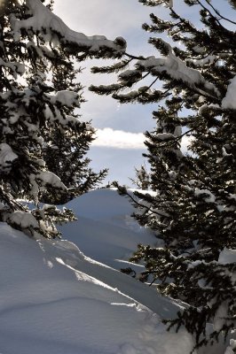 Mont Bochor - 1087