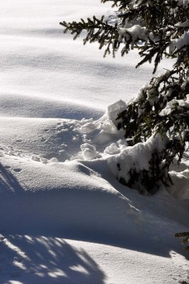 Mont Bochor - 1103