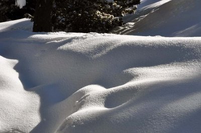 Mont Bochor - 1115
