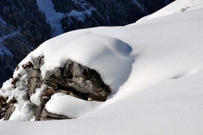 Mont Bochor - 1140