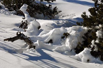 Mont Bochor - 1203