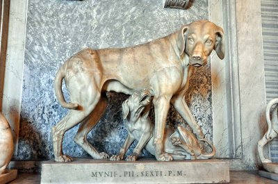 Hall of Animals, Pio-Clementino Museum, Vatican - 2312