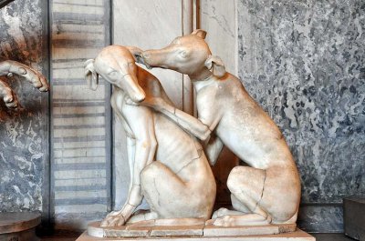 Hall of Animals, Pio-Clementino Museum, Vatican - 2313