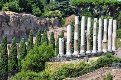 Roman Forum  - 3868