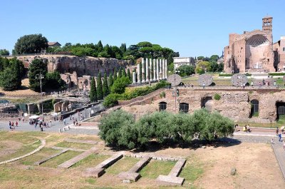 Roman Forum  - 3871