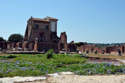 Foro Romano - 4601