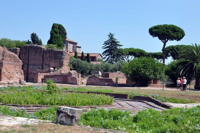 Foro Romano - 4606