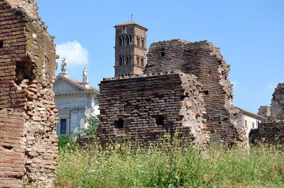 Foro Romano - 4661