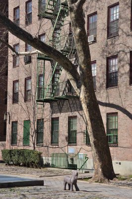 First Houses, oldest public housing development in NYC (1936) - 5928