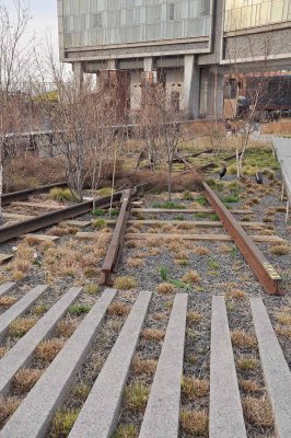 High Line Park - Lower West Side - 6285
