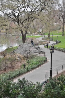Central Park - 6578