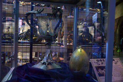 The Triwizard Cup and the Golden Egg - 1723