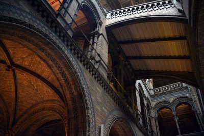 Natural History Museum, London - 2823