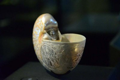 Hans Sloane's nautilus shell - Treasures Cadogan  Gallery - Natural History Museum - London - 2839
