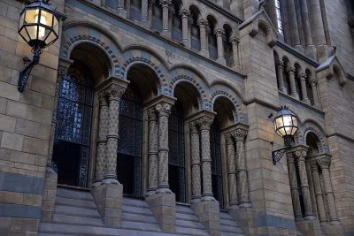 Natural History Museum, London - 2906