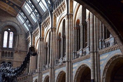 Hintze Hall, Natural History Museum, London - 3023