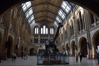 Hintze Hall, Natural History Museum, London - 3028