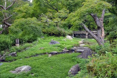 Maruyama Park, Kyoto - 8121