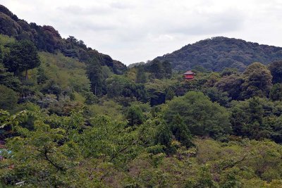 View from Kyomizu dera, Kyoto - 8342