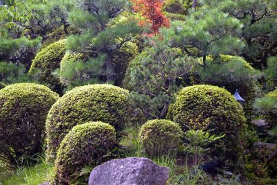 Kyomizu dera, Kyoto - 8395