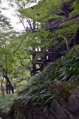 Kyomizu dera, Kyoto - 8432