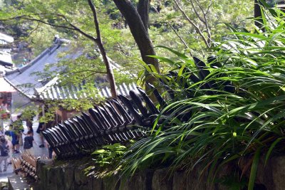 Kyomizu dera, Kyoto - 8436