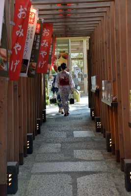 Small lane leading to the restaurant near Kyomizu dera, Kyoto - 8475