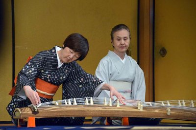 Japanese koto, Gion, Kyoto - 8576