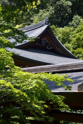 Ryoan-ji Temple, Kyoto - 8836