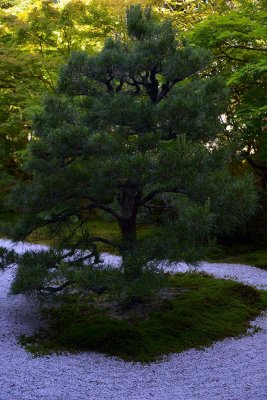Nanzen-ji Temple, Tenjuan garden, Kyoto - 8988