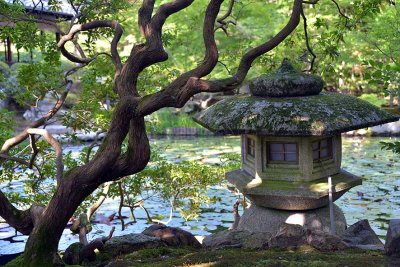 Nanzen-ji Temple, Tenjuan garden, Kyoto - 9010
