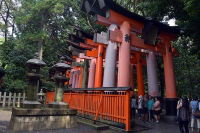 Fushimi Inari Shrine, Kyoto - 9319