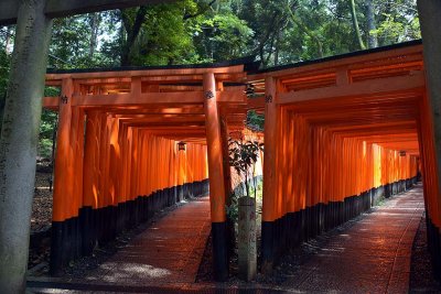 Fushimi Inari Shrine, Kyoto - 9328