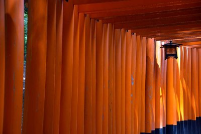 Fushimi Inari Shrine, Kyoto - 9333