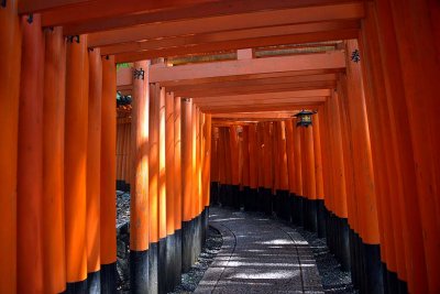 Fushimi Inari Shrine, Kyoto - 9336