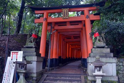 Fushimi Inari Shrine, Kyoto - 9348