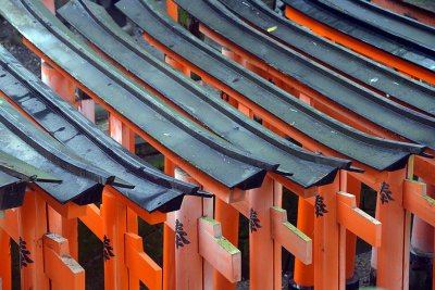 Fushimi Inari Shrine, Kyoto - 9358