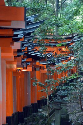 Fushimi Inari Shrine, Kyoto - 9366