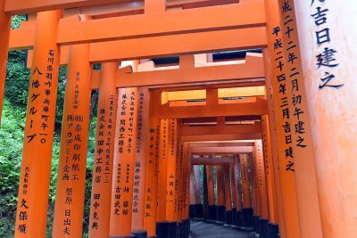 Fushimi Inari Shrine, Kyoto - 9376