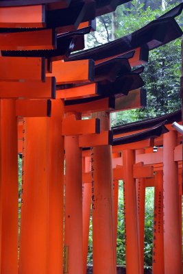Fushimi Inari Shrine, Kyoto - 9390