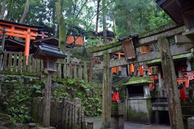 Fushimi Inari Shrine, Kyoto - 9392