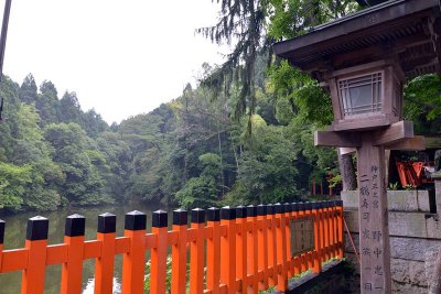 Fushimi Inari Shrine, Kyoto - 9407