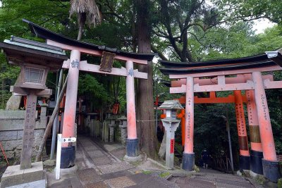 Fushimi Inari Shrine, Kyoto - 9413