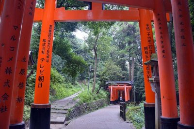 Fushimi Inari Shrine, Kyoto - 9417